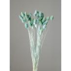 [ сухой цветок материалы для цветочной композиции материал ]poa растения * двухцветный * голубой желтый * большой земля сельское хозяйство .