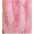 [ сухой цветок материалы для цветочной композиции материал ]la стакан * розовый * большой земля сельское хозяйство .