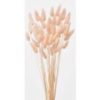 [ сухой цветок материалы для цветочной композиции материал ]la стакан * шербет pi-chi* большой земля сельское хозяйство .