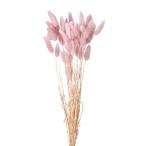 [ сухой цветок материалы для цветочной композиции материал ]la стакан * двухцветный * розовый лиловый * большой земля сельское хозяйство .