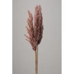 [ сухой цветок материалы для цветочной композиции материал ]p салон Lead * натуральный розовый * большой земля сельское хозяйство .