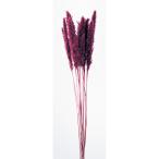 [ сухой цветок материалы для цветочной композиции материал ] tail Lead * wine red * большой земля сельское хозяйство .