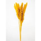 [ сухой цветок материалы для цветочной композиции материал ] tail Lead * горчица * большой земля сельское хозяйство .