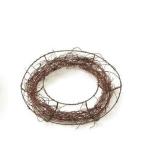 [ консервированный цветок сухой цветок материалы для цветочной композиции материал ] удобно lease 17cm*N* большой земля сельское хозяйство .