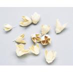 [ сухой цветок материалы для цветочной композиции материал ]bakli