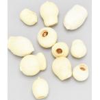 [ сухой цветок материалы для цветочной композиции материал ] gun bell z( реальный )