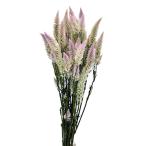 [ сухой цветок материалы для цветочной композиции материал ]ke сахалинский таймень * Sharo n