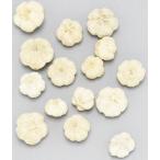 [ сухой цветок материалы для цветочной композиции материал ]pala Spee Pal * Sara si