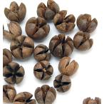 [ сухой цветок материалы для цветочной композиции материал ]wa защелка Pod * натуральный 