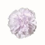  консервированный цветок * лаванда fiz* Mini гвоздика *