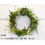 [ организовать комплект ]la стакан .himewalabi. комплект 