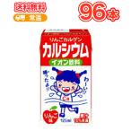 りんご カルゲンカルシウム 125ml×24本 4ケース イオン飲料 アップル 紙パック