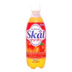 南日本酪農 デーリィ スコールマンゴー 500ml×24本入 PET 九州 南日本酪農協同デーリィ 愛のスコール 500ml マンゴー mango 炭酸飲料