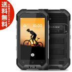 Blackview BV6000s ËÉ¿å ¥Ç¥å¥¢¥ëSIM LTE ¥Æ¥¶¥ê¥ó¥° ³¤³°·ÈÂÓ Á÷ÎÁ̵ÎÁ¡Ê³¤³°¤«¤éľÁ÷¡Ë