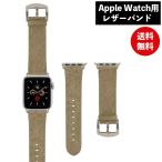 ディズニーキャラクター Apple Watch 41