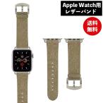 ディズニーキャラクター Apple Watch 45