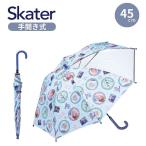 スケーター ディズニー アナと雪の女王 女児 女性 透明窓付き手開き傘 折れにくいグラスファイバー骨 45cm ベルトの内側に名前タグつき skater プレゼント