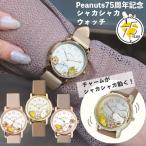 メール便送料無料 スヌーピー 75周