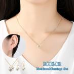 ネックレス ピアス 2点セット フックピアス チェーンネックレス 耳飾り 首飾り アクセサリー レディース 女性 ゴールドカラー シルバーカラー フェ