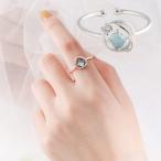  ץ ǥ ꡼ 饤󥹥ȡ 饦  襤   ץ쥼 ե