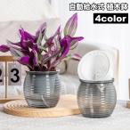  цветочный горшок цветок pot автоматика водоснабжение тип суккулентное растение декоративное растение закрытый офис настольный простой полив план to pot простой удобный модный симпатичный садоводство 