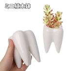  цветочный горшок цветок pot суккулентное растение керамика зуб посадочная машина бонсай декоративное растение .... растение в горшке Mini compact кактус садоводство сопутствующие товары садоводство настольный магазин 