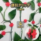 .. зажим 10 шт. комплект садоводство зажим фиксация зажим орнамент двусторонний лента цветок сельское хозяйство садоводство садоводство контактный дерево кабельная стяжка фиксация .. овощи удобный 