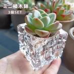  Mini цветочный горшок 3 шт. комплект свеча держатель цветок pot 4 квадратная форма квадратное суккулентное растение искусственная зелень ароматическая свеча день для смешанные товары интерьер смешанные товары 