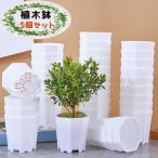  цветочный горшок 5 шт. комплект Mini размер цветок pot меньше осушитель дыра легкий простой декоративное растение суккулентное растение садоводство сопутствующие товары садоводство рассада белый 