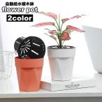  цветочный горшок цветок pot гидропонная культура автоматика водоснабжение . аквариум имеется полив простой декоративное растение суккулентное растение садоводство садоводство закрытый бамбук . симпатичный модный простой 