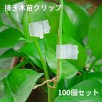  контактный . дерево рассада зажим 100 шт. комплект контактный . дерево .. садоводство садоводство сопутствующие товары стебель зажим контактный ..... дерево шт. дерево огород овощи растения прозрачный половина прозрачный 