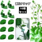 .. зажим 10 шт. комплект садоводство зажим фиксация зажим орнамент двусторонний лента leaf type сельское хозяйство садоводство садоводство контактный дерево кабельная стяжка фиксация .. цветок .