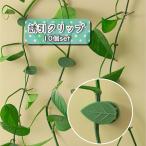 .. зажим 10 шт. комплект садоводство зажим фиксация зажим орнамент двусторонний лента leaf type сельское хозяйство садоводство садоводство контактный дерево кабельная стяжка фиксация .. цветок .