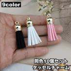  очарование кисточка 10 шт. комплект детали аксессуары ручная работа ручная работа рукоделие сопутствующие товары craft сопутствующие товары симпатичный блестящий модный kala шероховатость изобилие 