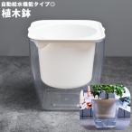  цветочный горшок автоматика водоснабжение цветок pot посадочная машина квадратное 4 квадратная форма декоративное растение суккулентное растение прозрачный прозрачный простой симпатичный модный настольный садоводство ga-te человек 