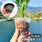  гидропонная культура pot выращивание рассады pot одиночный товар цветочный горшок выращивание рассады принадлежности для садоводства сетка растения цветок декоративное растение овощи растения выращивание cup водоснабжение культивирование садоводство "дышит" 