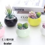 植木鉢 フラワーポット 多肉植物 陶器 プランター 盆栽 観葉植物 寄せ植え 鉢植え 丸型 ミニ コンパクト サボテン 園芸用品 ガーデニング 卓上