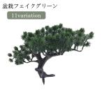  искусственная зелень человеческий труд растения бонсай горшок нет оборудование орнамент украшение орнамент декоративное растение интерьер мир . living вход .. модный японский стиль мир современный 