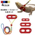  шлейка с поводком 3 размер комплект рептилии ящерица мелкие животные товары для домашних животных тяга трос Lee shu шнур искусственная кожа настройка возможность . прогулка 