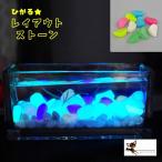 水槽用 レイアウトストーン 50個入り 底床 光る 夜光 暗闇 水槽用レイアウト アクアリウムデコレーション 水槽内インテリア アクセサリー 水槽用品