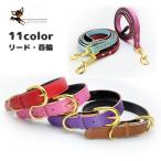 首輪 リード 単品 犬用 小型犬 中型
