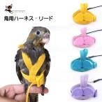 鳥用ハーネス リード ペット用品 ペットグッズ?オウム 鸚鵡 インコ ハト 縄 ロープ 調節可能 天使 羽 翼 かわいい お散歩 お出かけ トレーニン