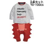セットアップ 上下セット 2点セット 長袖Tシャツ ロンT ロングパンツ 長ズボン スウェット 恐竜 ベビー服 子供服 キッズ ルームウェア カットソ