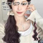 ウィッグ つけ毛 レディース ヘアア