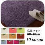 玄関マット 60 40cm フロアマット トイレマット バスマット 洗面所マット カーペット 浴室 玄関 リビング ベッドルーム バスルーム 脱衣所