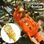 フルーツピッカー ヘッドのみ フルーツキャッチャー 果物キャッチャー 収穫 果物掴み 果物取り 掴み機 もも 梅 ビワ リンゴ 農業 道具 便利