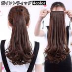 ポイントウィッグ 部分ウィッグ ポ�