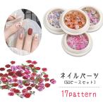  Nailparts 50 деталь комплект с футляром женский женщина мода смешанные товары ногти сопутствующие товары ногти товары цветок цветок роза роза Sakura Sakura лист ..