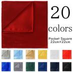  pocket square носовой платок мужской мужчина джентльмен костюм шелк способ формальный party свадьба праздник день совершеннолетия костюмированная игра ... бизнес Event 