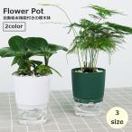 植木鉢 自動給水 フラワーポット プランター 観葉植物 多肉植物 円形 透明 クリア シンプル かわいい おしゃれ 卓上 園芸 ガーデニング